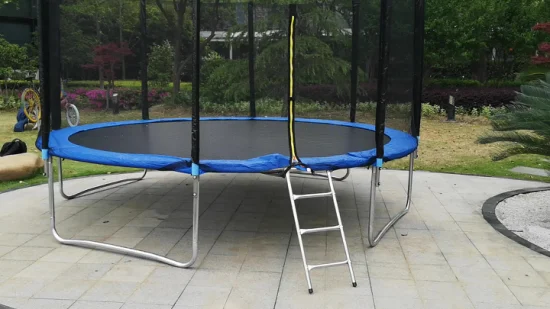 Precio al por mayor, regalo de cumpleaños, trampolín de salto de 10 pies, entretenimiento al aire libre