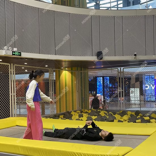 Trampolín de salto del parque de atracciones del patio interior de alta calidad del fabricante profesional de la fábrica